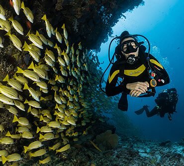 Scuba diver exploring coral reef in Roatan with tropical fish