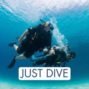 DSD Just Dive