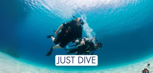 DSD Just Dive