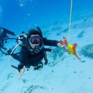 PADI Drift Diver Roatán