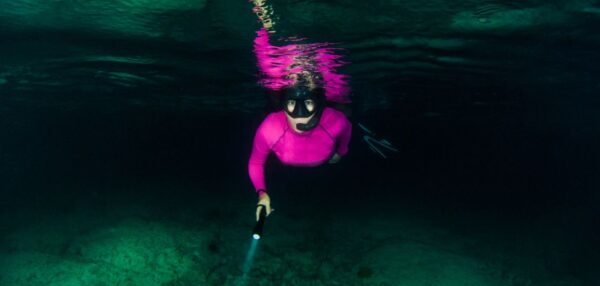 Night Snorkeling