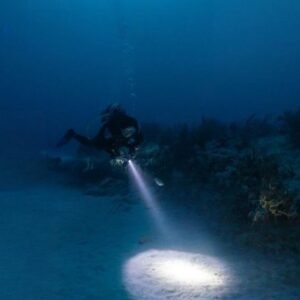 Roatan Night Diving