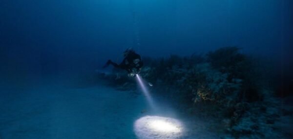 Roatan Night Diving