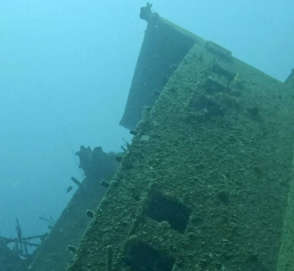 El Aguila wreck dive in Roatan artificial reef and shipwreck