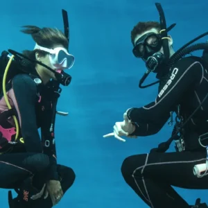 Specialty – Streamline Your Dive Skills Today