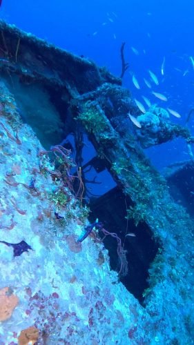 GX010994-00-00-38-314-1 technical diving Bay Islands